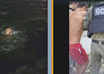 PM prende ladrões de carro em Niterói; fugitivo que escapou pelo mar é pego horas depois