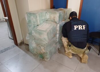 Motorista é preso com 600 kg de maconha na Via Dutra, em Piraí