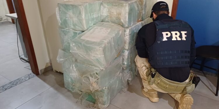 Motorista é preso com 600 kg de maconha na Via Dutra, em Piraí